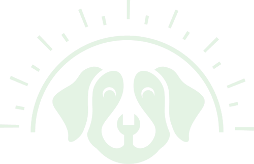 dog rescue fostering redding