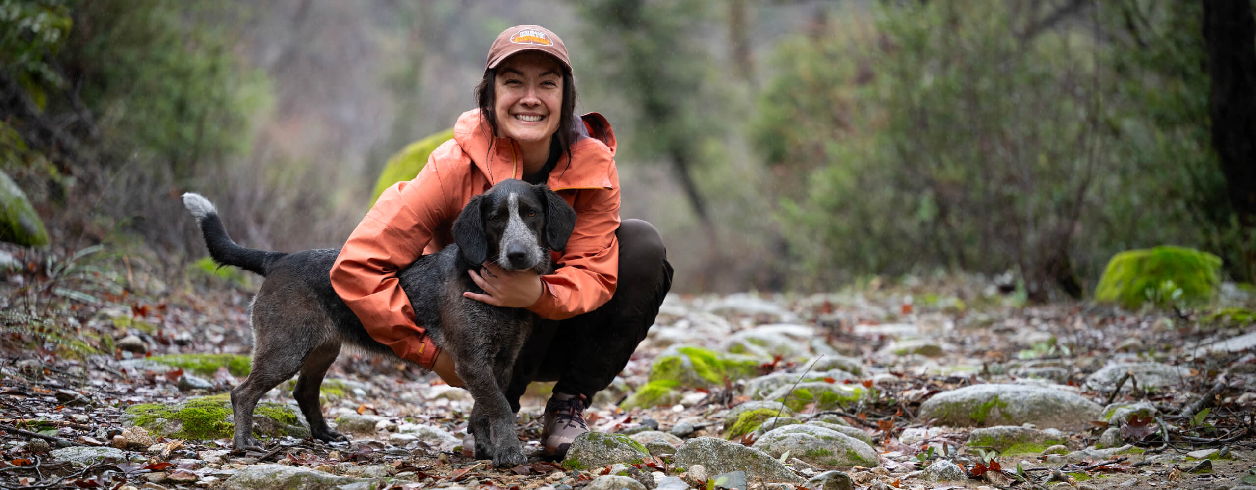 dog rescue fostering redding