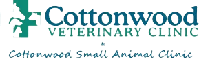cottonwood veterinary clinic 01